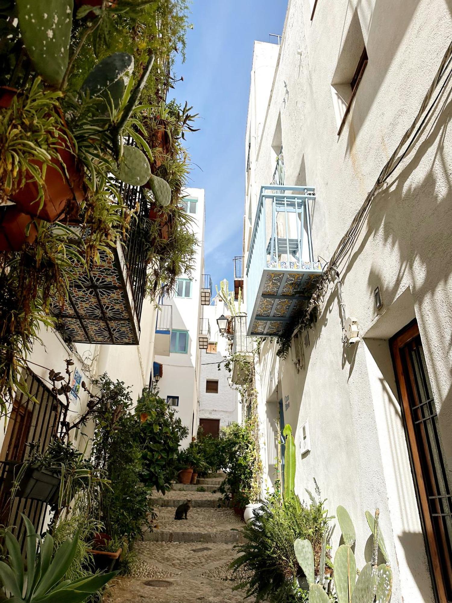 Casa Blava, Casco Antiguo De Peniscola Villa Eksteriør billede