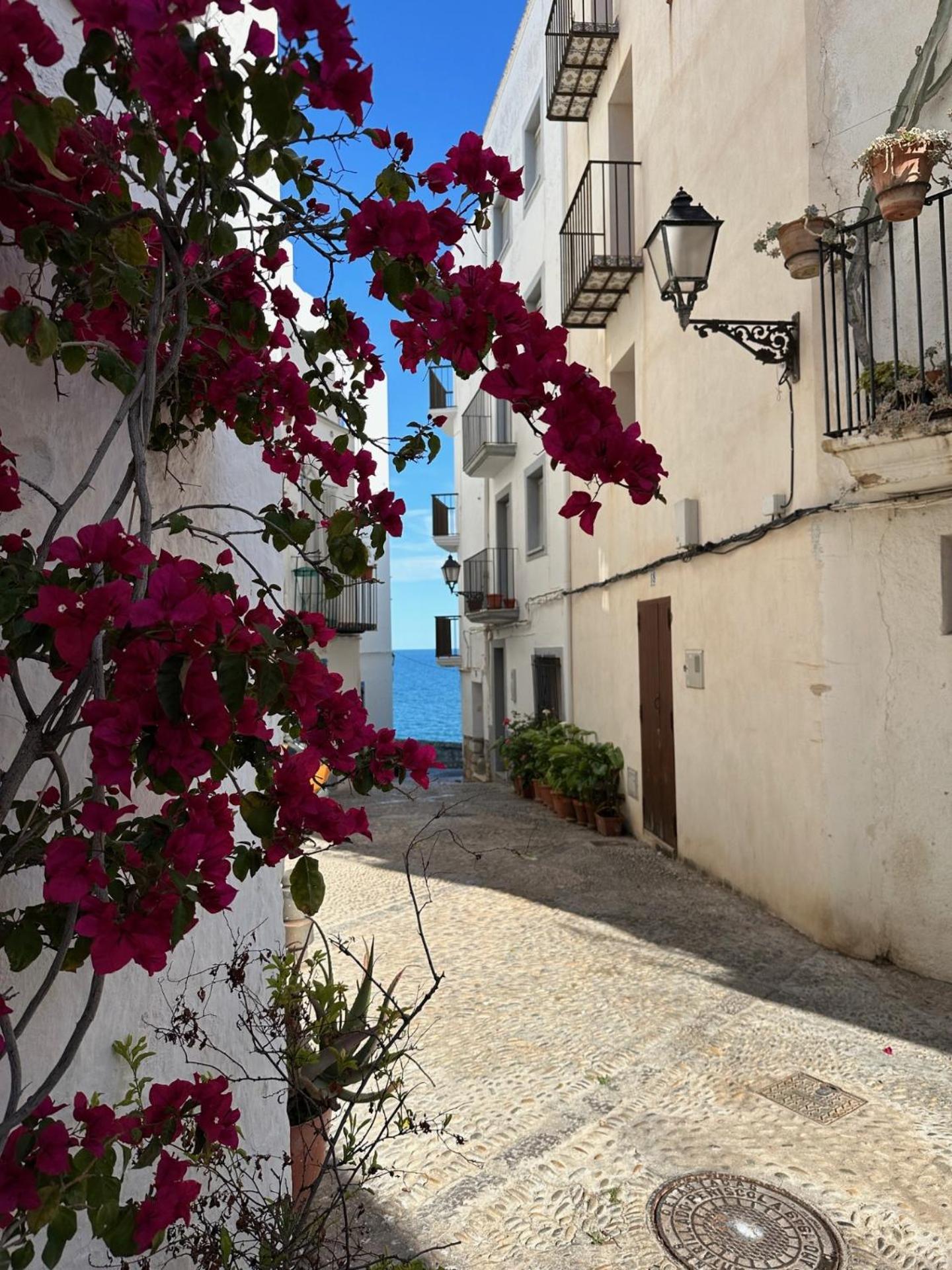 Casa Blava, Casco Antiguo De Peniscola Villa Eksteriør billede